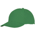 Hades 5-paneelilippis, vihreä-saniainen liikelahja logopainatuksella