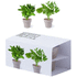 Aromikasvit Flowerpot Set Nertel lisäkuva 5
