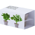 Aromikasvit Flowerpot Set Nertel liikelahja logopainatuksella