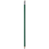 Alegra-kynä, värillinen varsi, vihreä liikelahja logopainatuksella