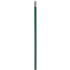 Alegra-kynä, värillinen varsi, vihreä lisäkuva 2