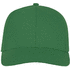 Ares 6 panel cap, vihreä-saniainen lisäkuva 2