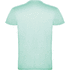 Beagle miesten lyhythihainen t-paita, minttu-vihreä lisäkuva 2