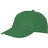 Feniks-lakki, vihreä-saniainen liikelahja logopainatuksella