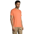 REGENT Uni T-paita 150g REGENT, oranssi lisäkuva 1