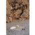 VINGA Alba GRS RPET piknikhuopa pieni, ruskea lisäkuva 4