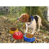 Eläinten ruokakulho Puppy dog bowl, keltainen lisäkuva 1