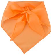 Huivi Plus scarf, oranssi liikelahja logopainatuksella