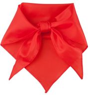 Huivi Plus scarf, punainen liikelahja logopainatuksella