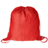 Selkäreppu Bass drawstring bag, punainen liikelahja logopainatuksella