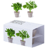 Aromikasvit Flowerpot Set Nertel lisäkuva 4