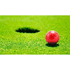Golfpallo Golf Ball Nessa, keltainen lisäkuva 5