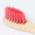 Hammasharja Toothbrush Becu, punainen lisäkuva 2