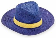 Hattu Hat Splash, kuninkaallinen liikelahja logopainatuksella