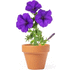 Kukkaruukku Flowerpot Soltax lisäkuva 1