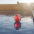Rantapallo Beach Ball Zeusty, punainen liikelahja logopainatuksella