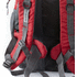 Selkäreppu Backpack Virtux, punainen lisäkuva 4